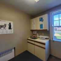 Allentown Cat Clinic, PC ico