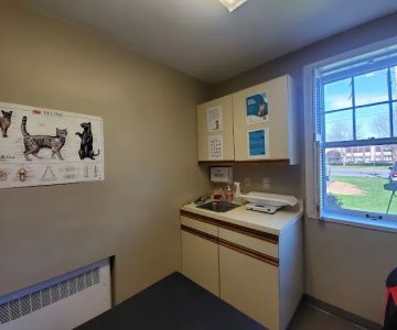 Allentown Cat Clinic, PC