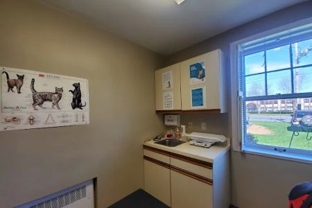 Allentown Cat Clinic, PC