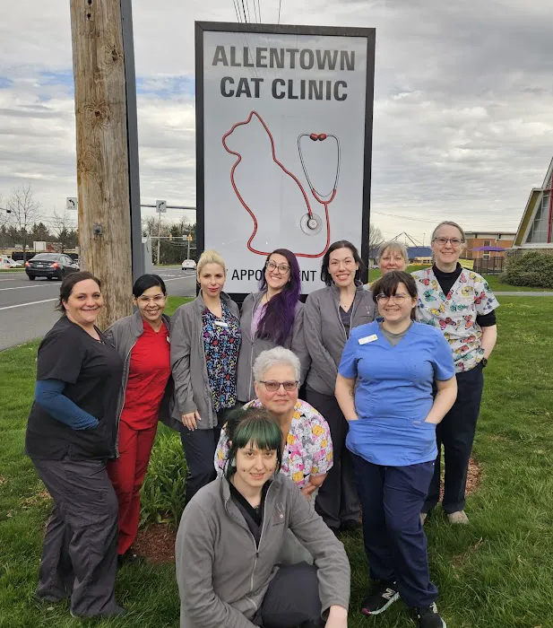 Allentown Cat Clinic, PC 8