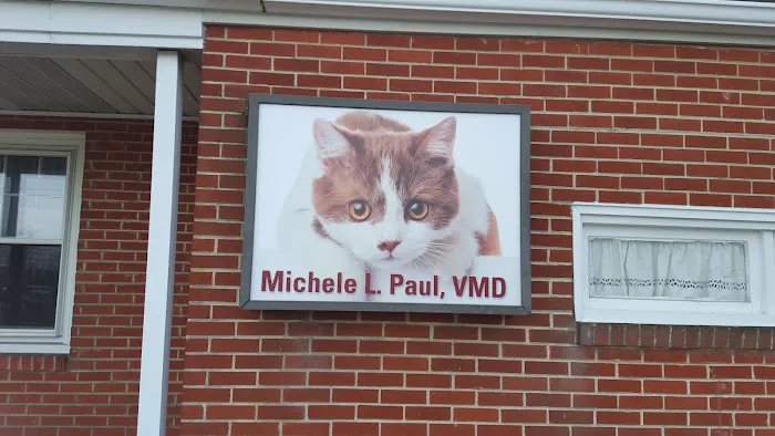 Allentown Cat Clinic, PC 10