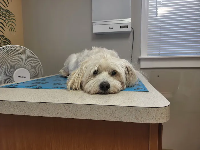 Walbert Animal Hospital 12