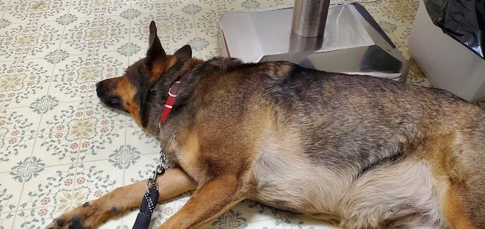 Walbert Animal Hospital 12