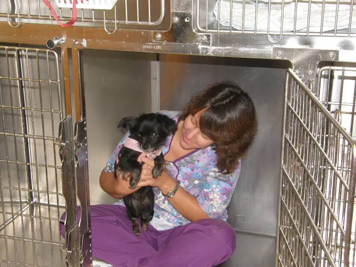 Walbert Animal Hospital 12