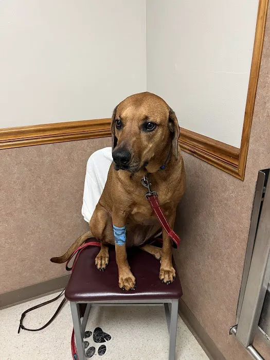 Allentown Animal Care 12