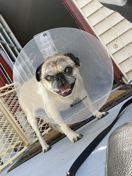 Harmony Animal Hospital 12
