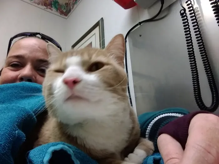 Easton Animal Hospital 12