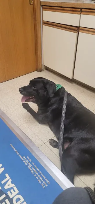 Easton Animal Hospital 12