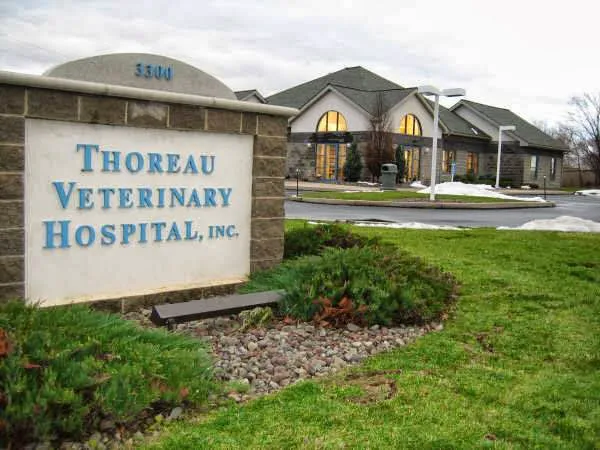 Thoreau Veterinary Hospital 12