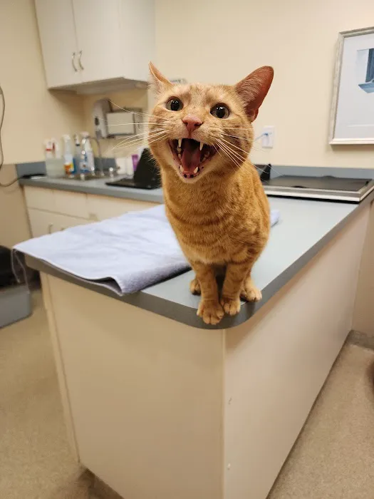 Thoreau Veterinary Hospital 12