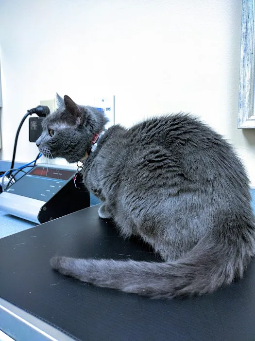 Thoreau Veterinary Hospital 12