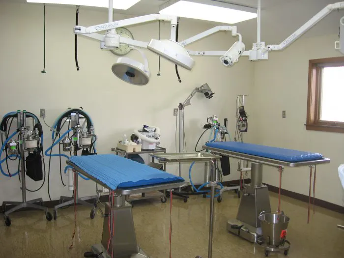 VCA Northside Animal Hospital 12