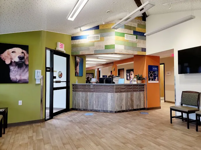 VCA Northside Animal Hospital 12