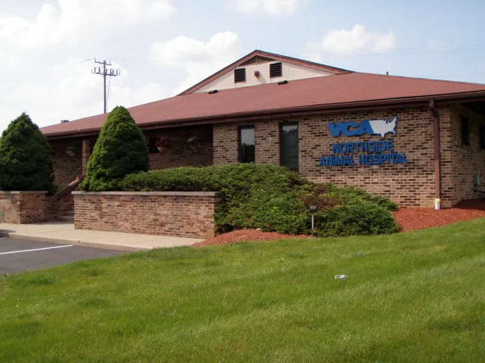 VCA Northside Animal Hospital 12