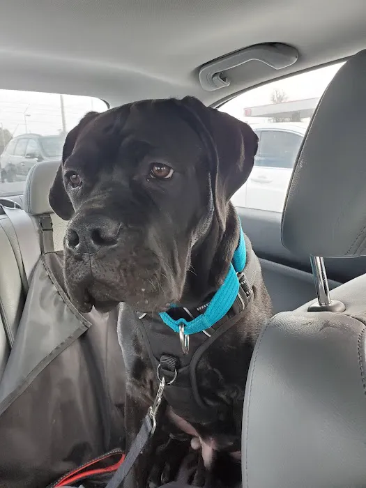 Petco 1
