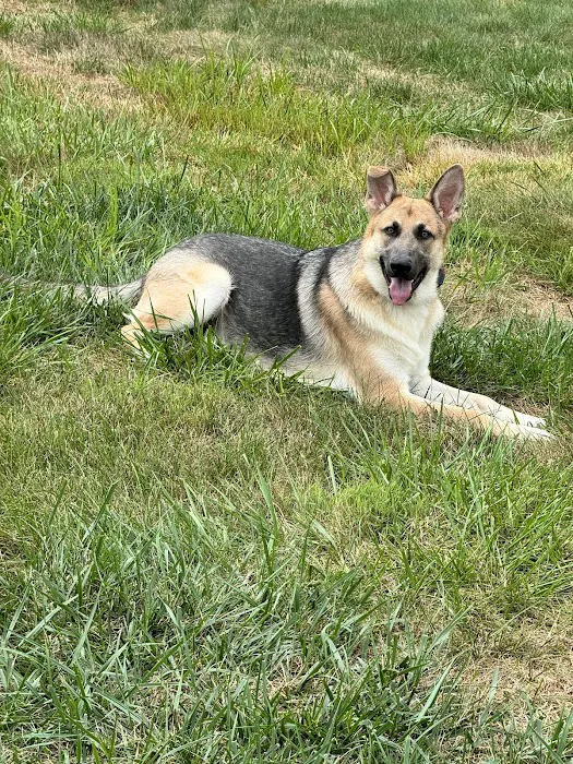 Washington Animal Hospital 3