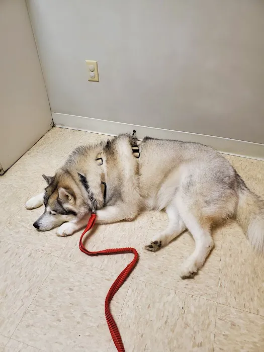 HanoverView Animal Hospital 12