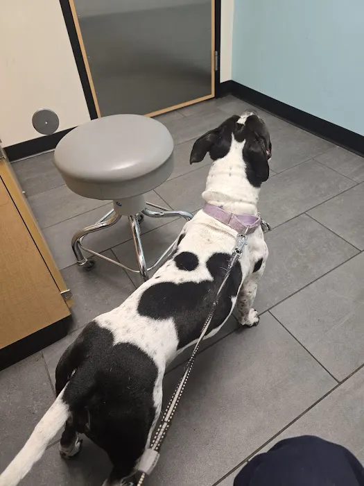 Banfield Pet Hospital 12
