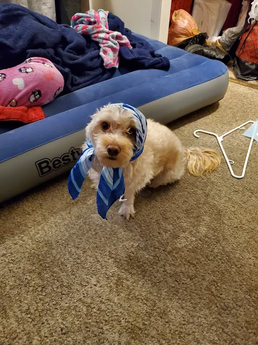 Banfield Pet Hospital 12
