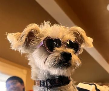 Bradu2019s Barkery