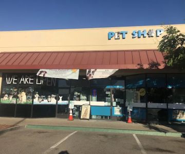 The Pet Shop