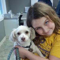 Casey Veterinary Service ico