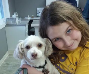 Casey Veterinary Service