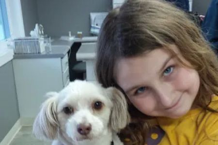 Casey Veterinary Service