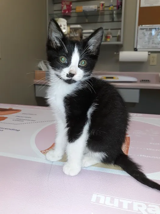 Lawrence County Animal Hospital 12