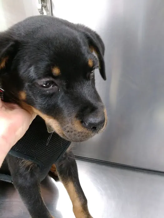 Princeton Veterinary Hospital 8