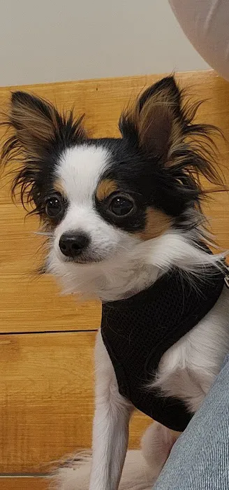 Princeton Veterinary Hospital 4