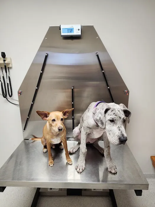 Princeton Veterinary Hospital 1