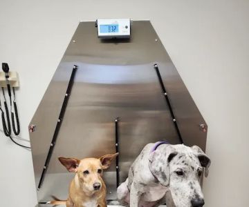 Princeton Veterinary Hospital