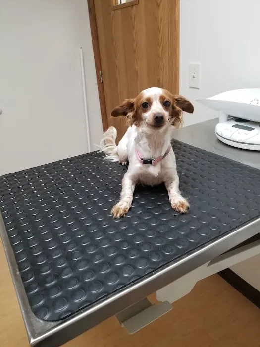 Princeton Veterinary Hospital 6