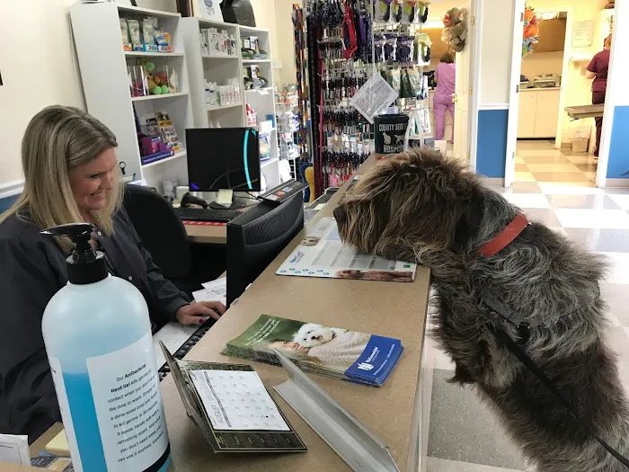 County Seat Veterinary Hospital 12