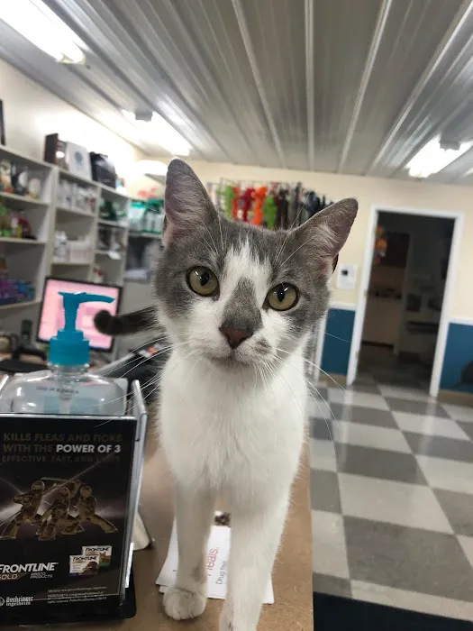 County Seat Veterinary Hospital 12