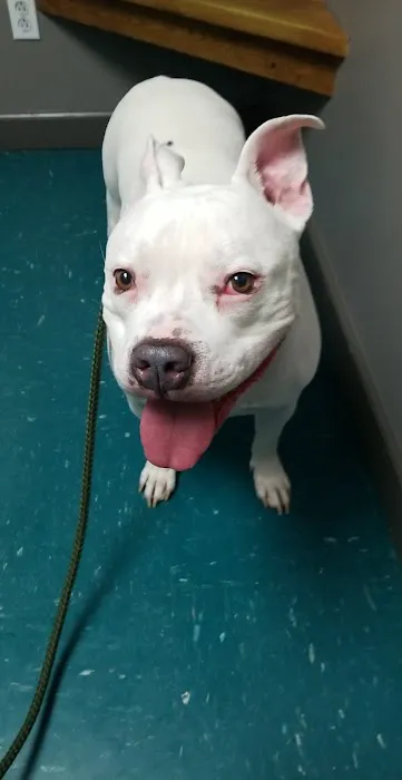 Dubois County Animal Hospital 12