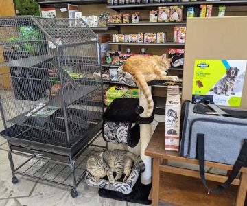 Pets To Go