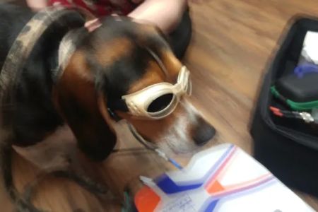 Printz Veterinary Services