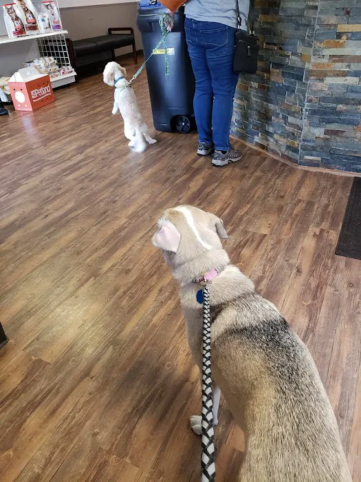 Printz Veterinary Services 12