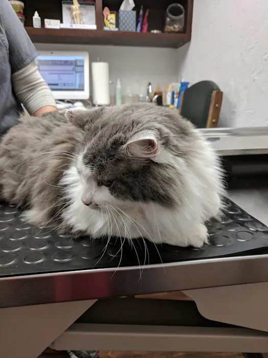Printz Veterinary Services 12