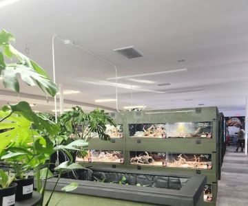 Exotic Aquarium