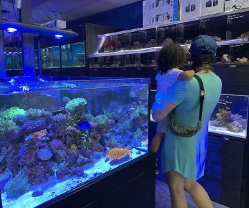 Splash Aquarium