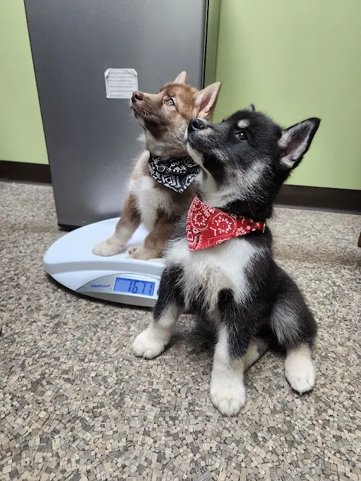 Mad River Veterinary Hospital 12