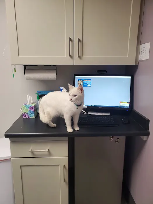 Mad River Veterinary Hospital 12