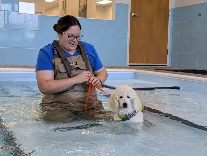 Mad River Veterinary Hospital 12
