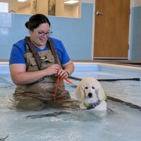 Mad River Veterinary Hospital ico