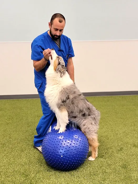 PAW Center 12
