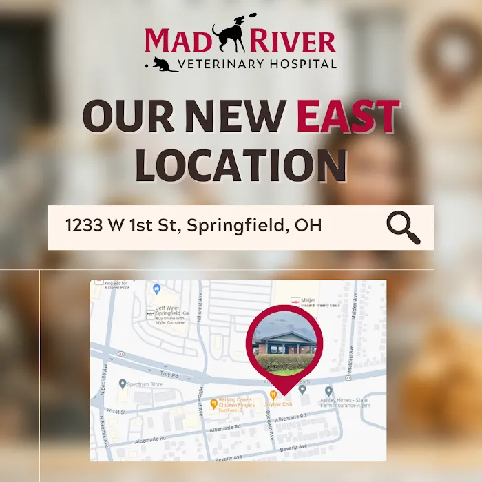 Mad River Vet Hospital East 12