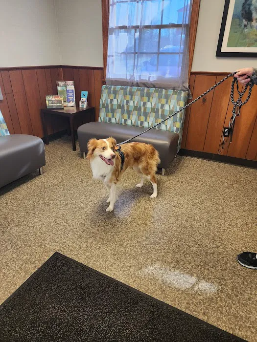 Mad River Vet Hospital East 12